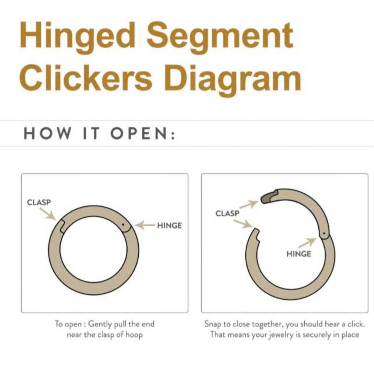 Titanium hinged segment clicker | nose ring | nostril hoop | seamless ring | ear hoop | daith hoop | nickel free