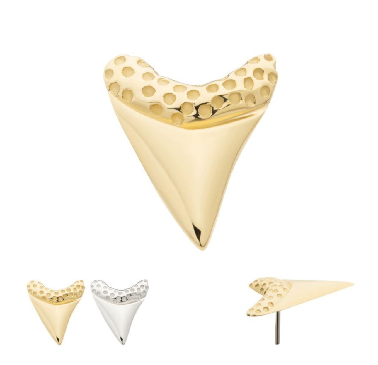 14Kt Gold Threadless Megalodon Shark Tooth earring | yellow gold earring | white gold earring | shark tooth earring | solid gold earring