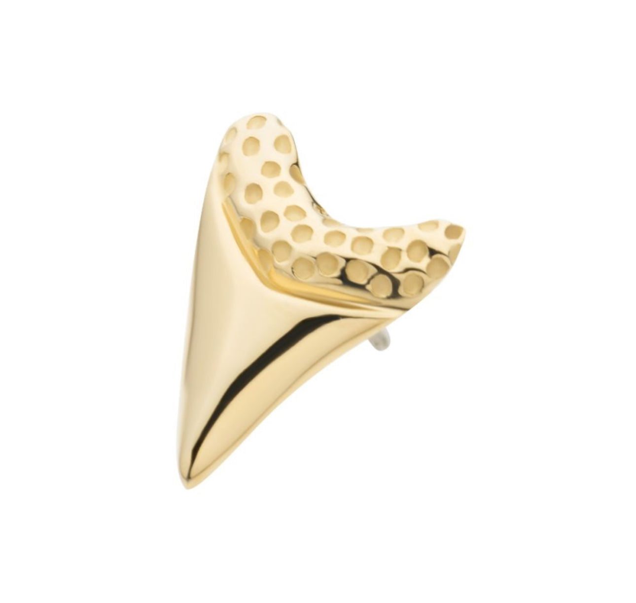 14Kt Gold Threadless Megalodon Shark Tooth earring | yellow gold earring | white gold earring | shark tooth earring | solid gold earring